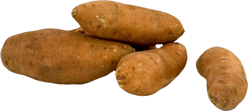  Sweet Potato Transparent Png Clipart Tubers Of Yam Png Potato Transparent