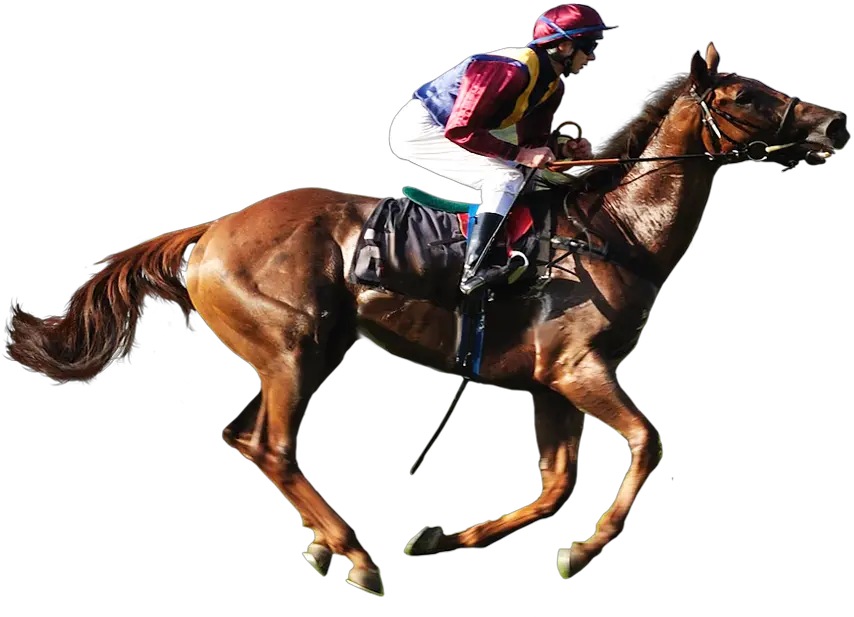  Horse Racing Transparent Background Png Horse Racing Png Horse Transparent Png