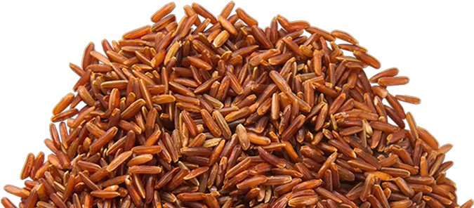  Library Png Transparent Images Pluspng Brown Rice Red Rice Png Rice Transparent