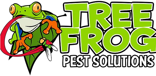  Pest Control Tree Frog Solutions United States Clip Art Png Frog Png