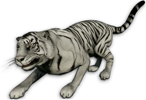  White Tiger Far Cry 3 White Tiger Png White Tiger Png