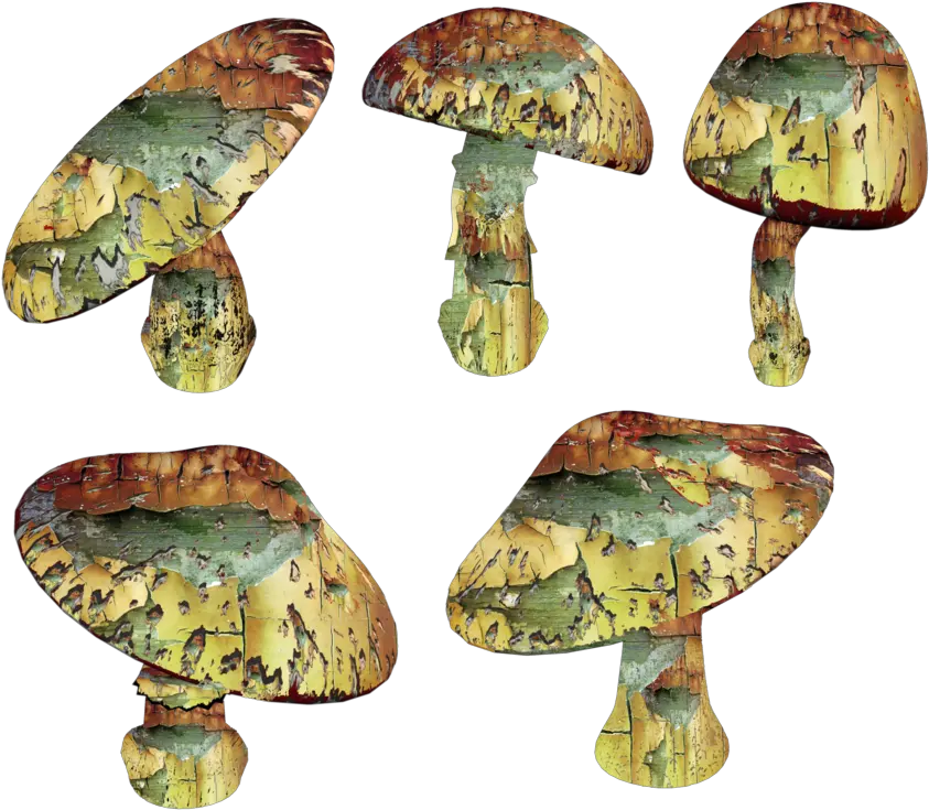  Trippy Mushroom Png Magic Mushroom Png Mushrooms Png