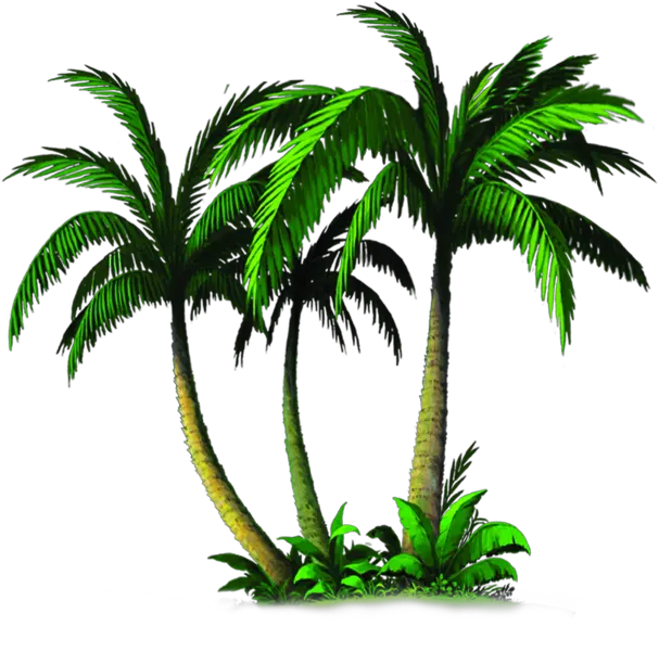  Download Palm Tree Emoji Transparent Palm Tree Emoji Transparent Png Palm Tree Emoji Png