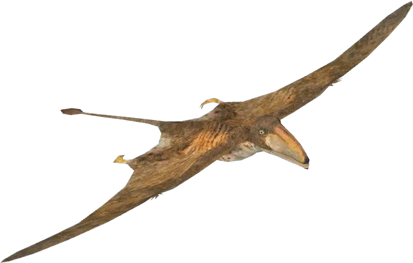  Pterosaurs Png Images Transparent Free Walking With Dinosaurs Peteinosaurus Pterodactyl Png