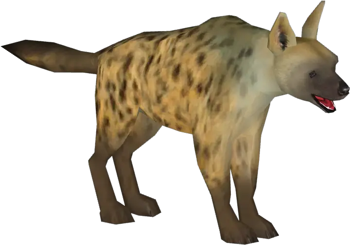  Spotted Hyena Png