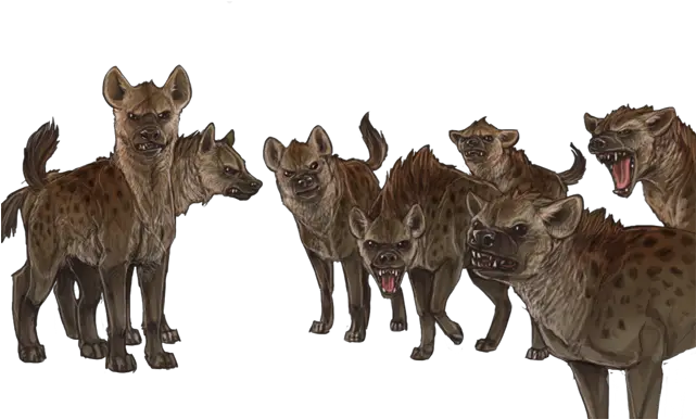  Lioden Lioden Hyenas Png Hyena Png