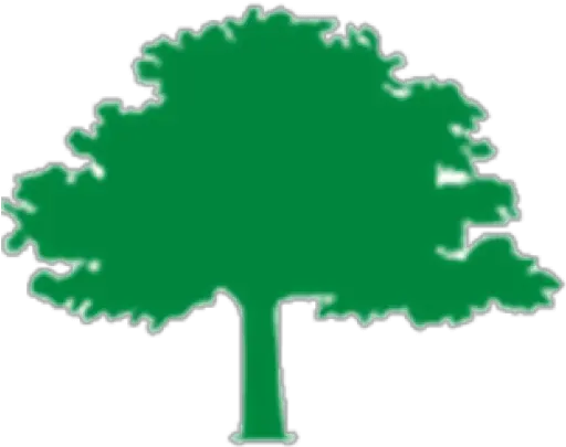  Tree Fund Organization Funding Urban Forestry Pruning Big Tree Inn Geneseo Ny Logo Png Forest Trees Png