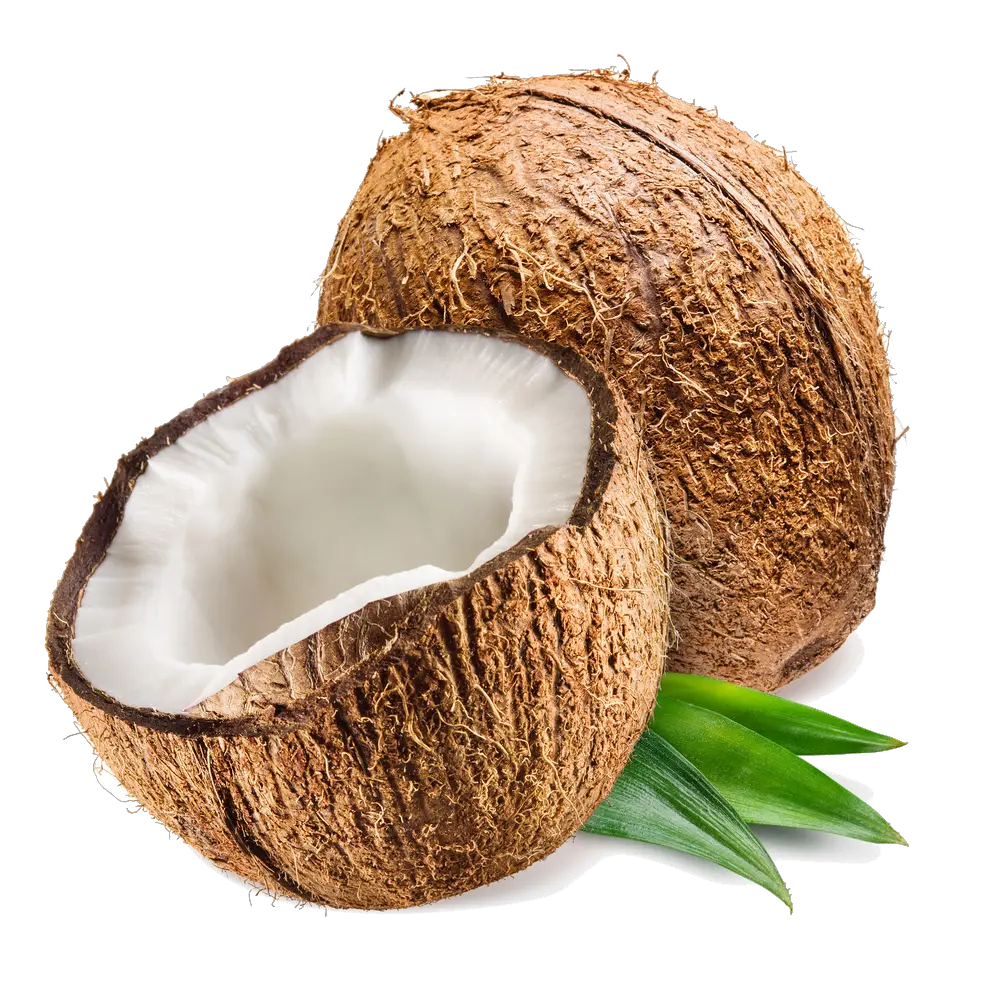  Coconut Png Transparent Photo Transparent Coconut Png Coconut Png