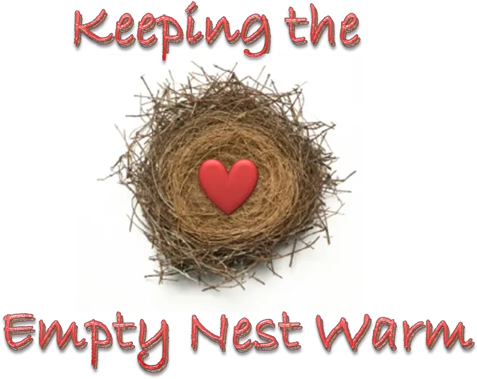  Hsn Keeping The Nest Transparent Cartoon Jingfm Png Nest Png