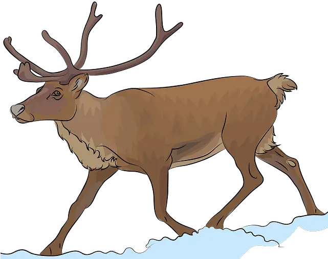  Reindeer Clipart Reindeer Clipart Png Reindeer Clipart Png