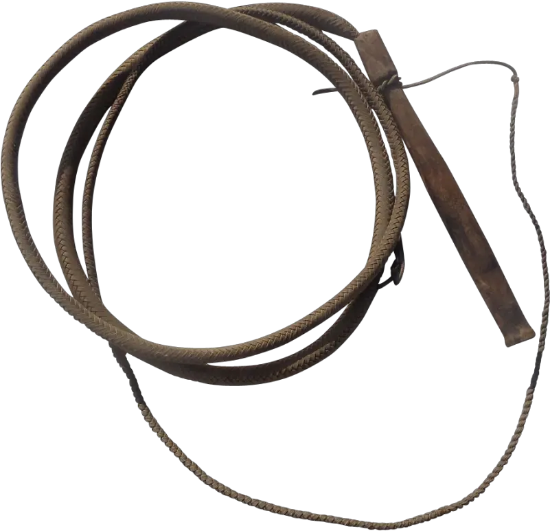  Whip Png Image Whip Transparent Background Whip Png