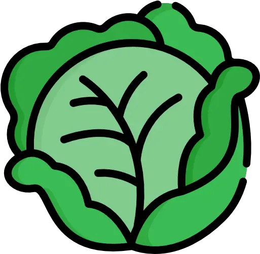  List Of Memory Boosting Foods Improve Brain Power Cabbage Icon Png Brain Power Icon