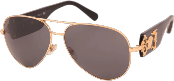  Versace Versace Sunglasses 2150q Brown Png Versace Icon