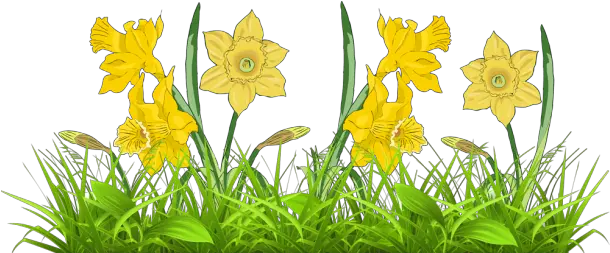  Daffodil Flower Free Clipart Clip Art Library Free Daffodil Clip Art Png Daffodil Icon