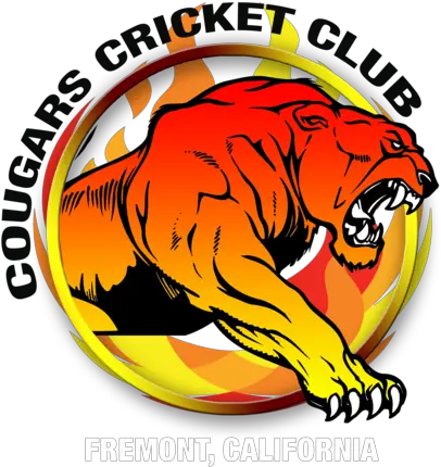  Download Hd Puma Logo Clipart Cricket Siberian Tiger American International Abu Dhabi Png Puma Logo Png
