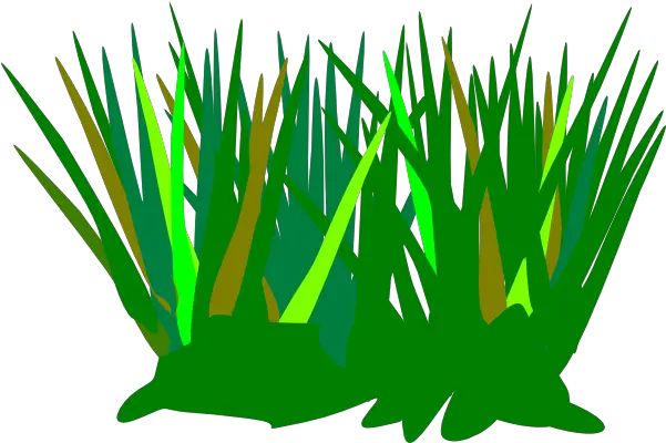  Green Wheat Grass Tuft Clip Art Vector Clip Cartoon Grass Vector Transparent Png Grass Vector Png