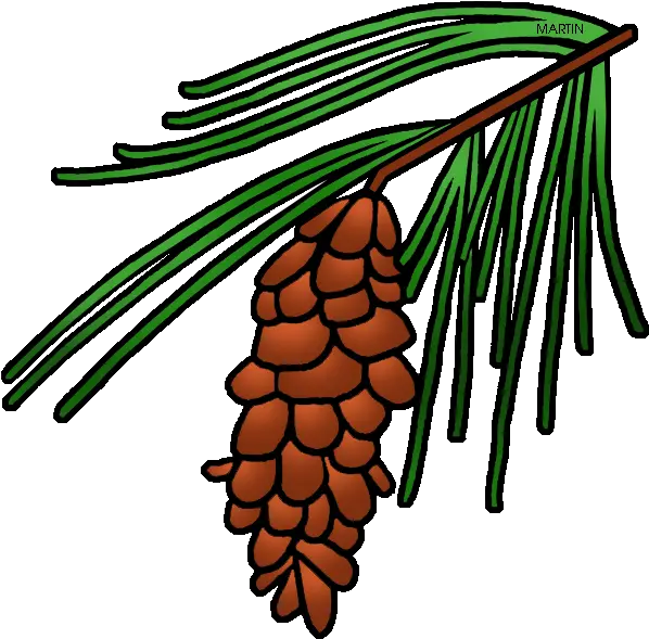  Pine Tree Clipart State Pine Cone Tree Clipart Png State Flower Of Maine Pine Tree Branch Png