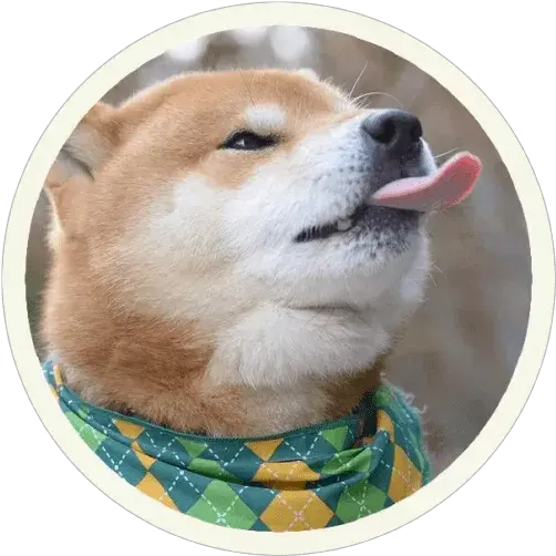  Akita Inuu201d Stickers Set For Telegram Hokkaido Dog Png Funny Icon Tumblr