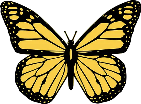  10 Free Butterfly Icon U0026 Vectors Pixabay Open Door Crisis Centre Png Butterfly Emoji Png