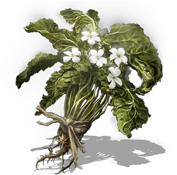  Budding Green Blossom Dark Souls Wiki Fandom Dark Souls 3 Budding Green Blossom Png Blossom Png