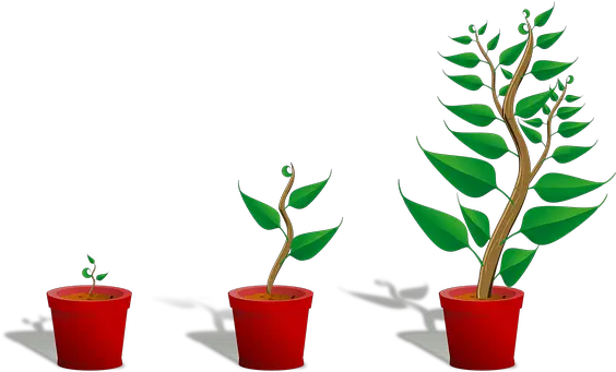  2000 Free Plant Pot U0026 Images Pixabay Getting To Know Plants Png Pot Leaf Transparent Background