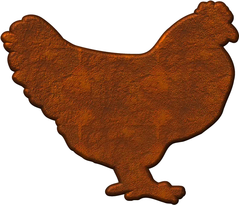  Hen Chicken Png Hen Png