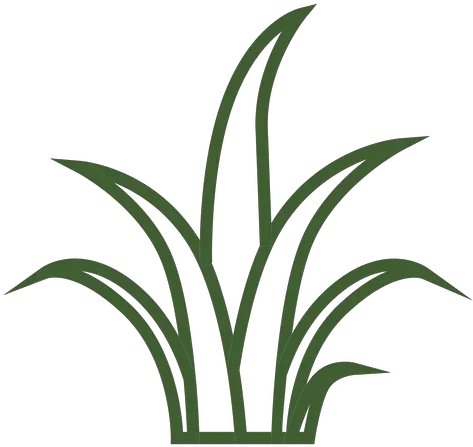  Simple Grass Icon Transparent Png U0026 Svg Vector File Simple Grass Clip Art Crown Outline Png