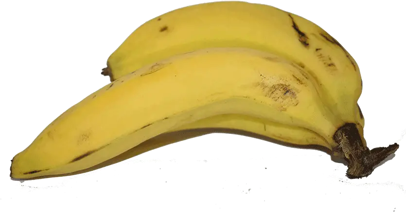  Bananas Png Saba Banana Bananas Png