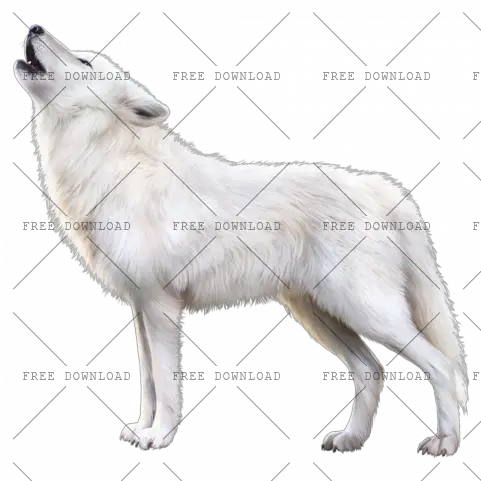  Arctic Fox Png Image With Transparent Background Photo 92 White Wolf Howling Png Fox Png