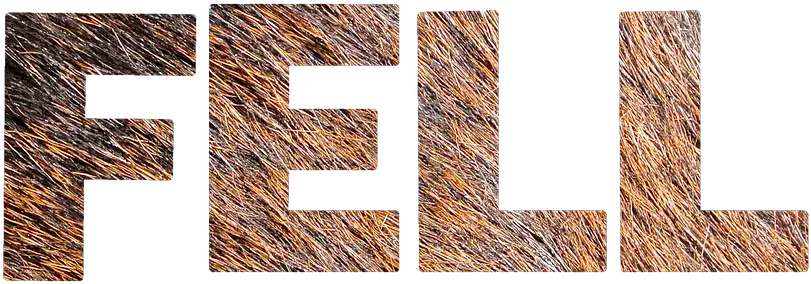  Download Fur Texture Lettering Cross Png Fur Png