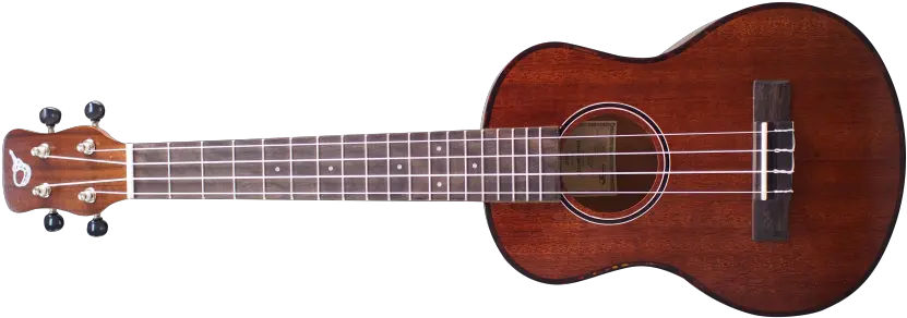  Ukulele Png Image Acoustic Guitar Ukulele Png