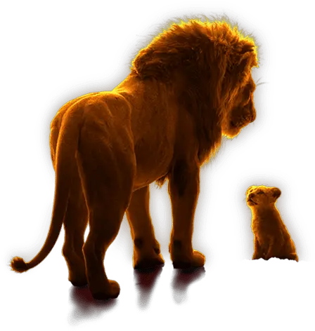  The Lion King U2013 Ryder East African Lion Png Lion King Transparent