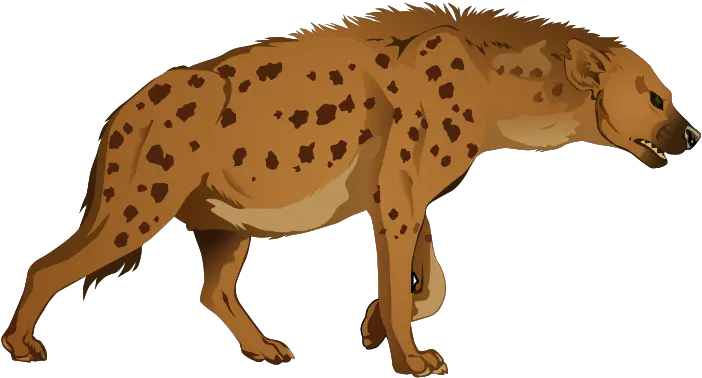  Hyena Png Hyena Clipart Hyena Png