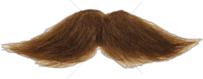  Png Download Mustache Brown Images Lace Wig Bigote Png