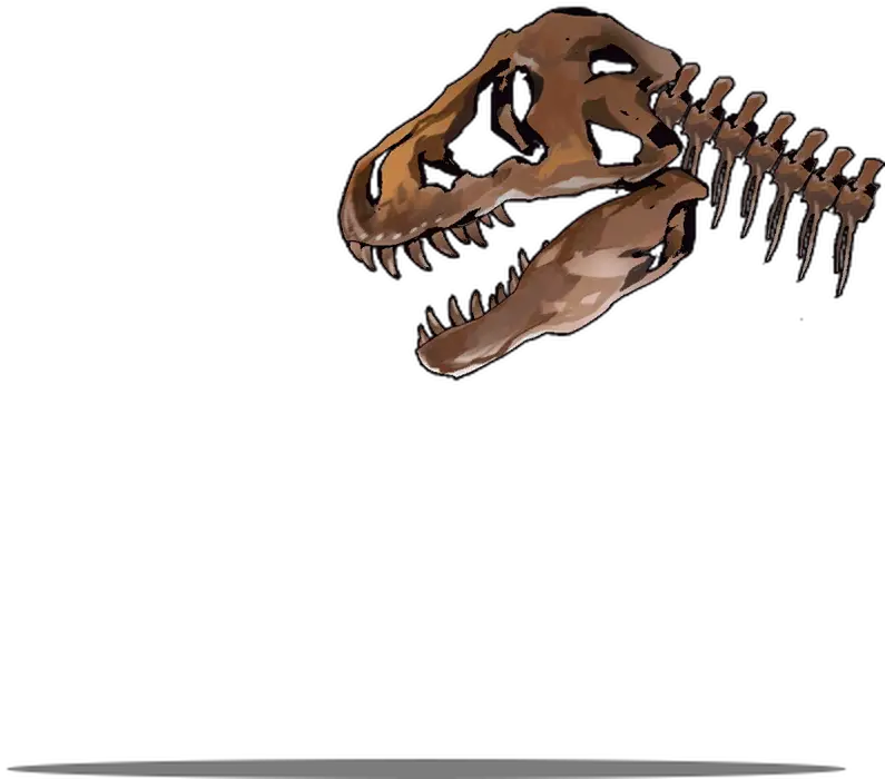  Museum Trip Gfldb Tyrannosaurus Png Dinosaur Skull Png