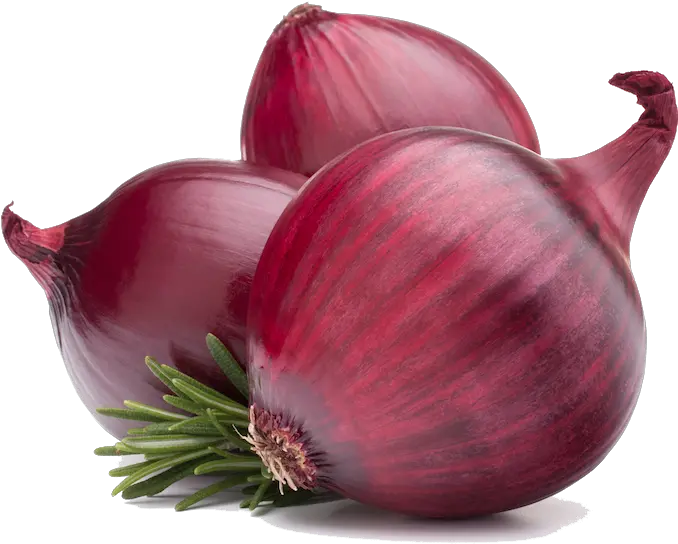  Red Onion Png Hd Onion Png Onion Png