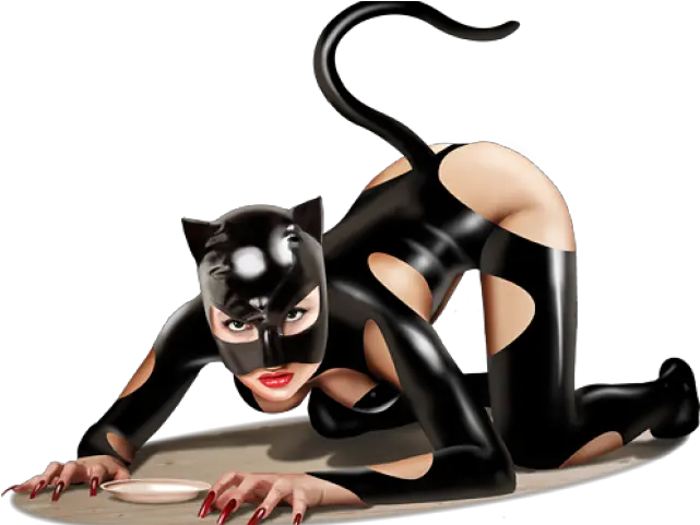  Catwoman Png Download Image Catwoman Png Catwoman Png