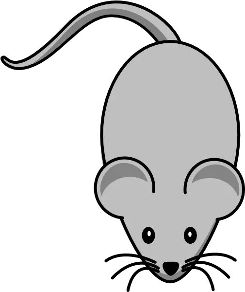  Free Mouse Cliparts Download Clip Art Mouse Clipart Png Mouse Animal Png