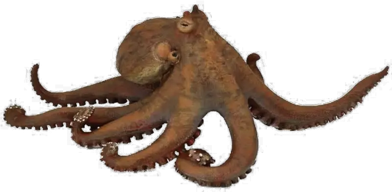  Png Mart Papo Figure Octopus Png