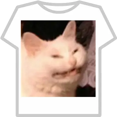  Angry Cat Roblox Roupa Do Goku Black Roblox Png Angry Cat Png