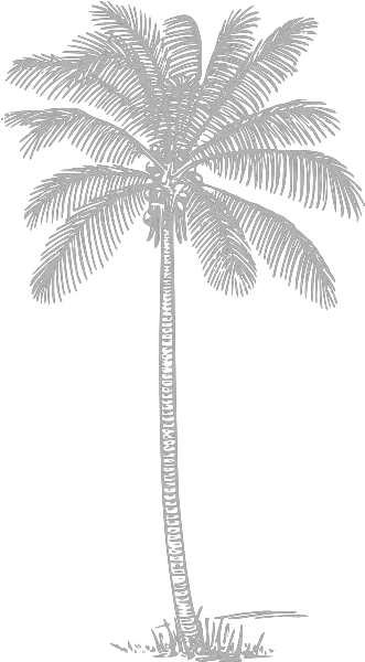  Gray Palm Tree Clip Art Vector Clip Art Palm Tree Drawing Png Palm Tree Png Transparent