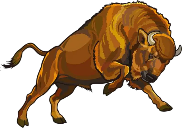  Bison Png Png Bison Png