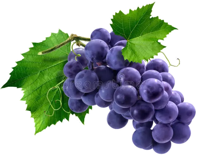  Download Bunch Of Purple Grapes Hd Png Uokplrs Grape Grape Png