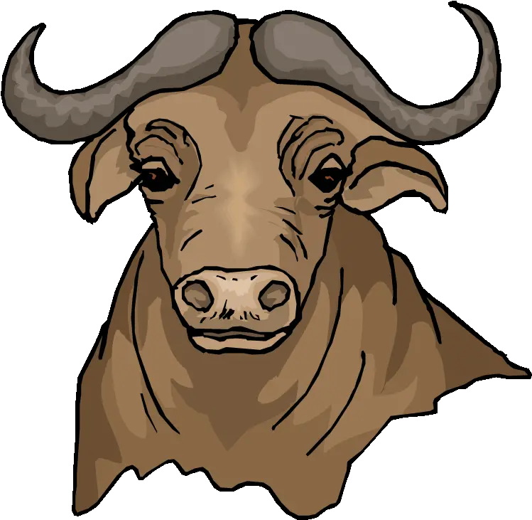  Buffalo Download Png Clipart Water Buffalo Clipart Buffalo Png