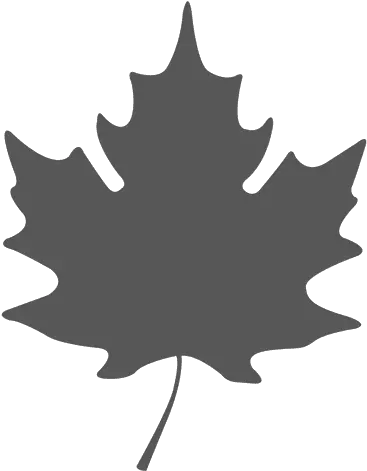  Simple Maple Leave Silhouette Transparent Png U0026 Svg Vector Vector Maple Leaf Png Fall Leaf Transparent