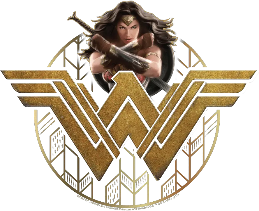  Wonder Woman Power Stance And Emblem Pullover Hoodie Logo Wonder Woman Movie Png Stance Logo