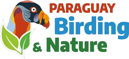  Paraguay Birding U0026 Nature Pbn King Vulture Png Nature Logo