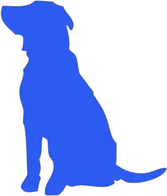  Tv Commercial Video Production Daytona Animated Blue Dog Png Tv Commercial Icon