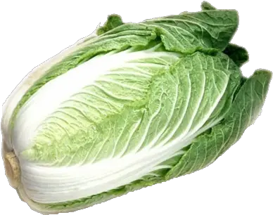  Lettuce Png Transparent Background