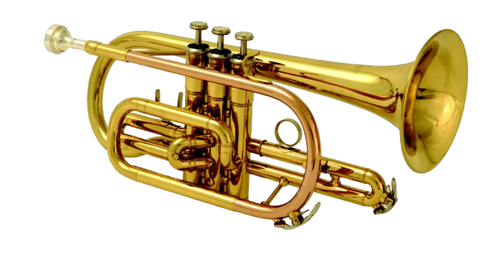  Transparent Trombone Hd Brass Instruments Png Trombone Transparent